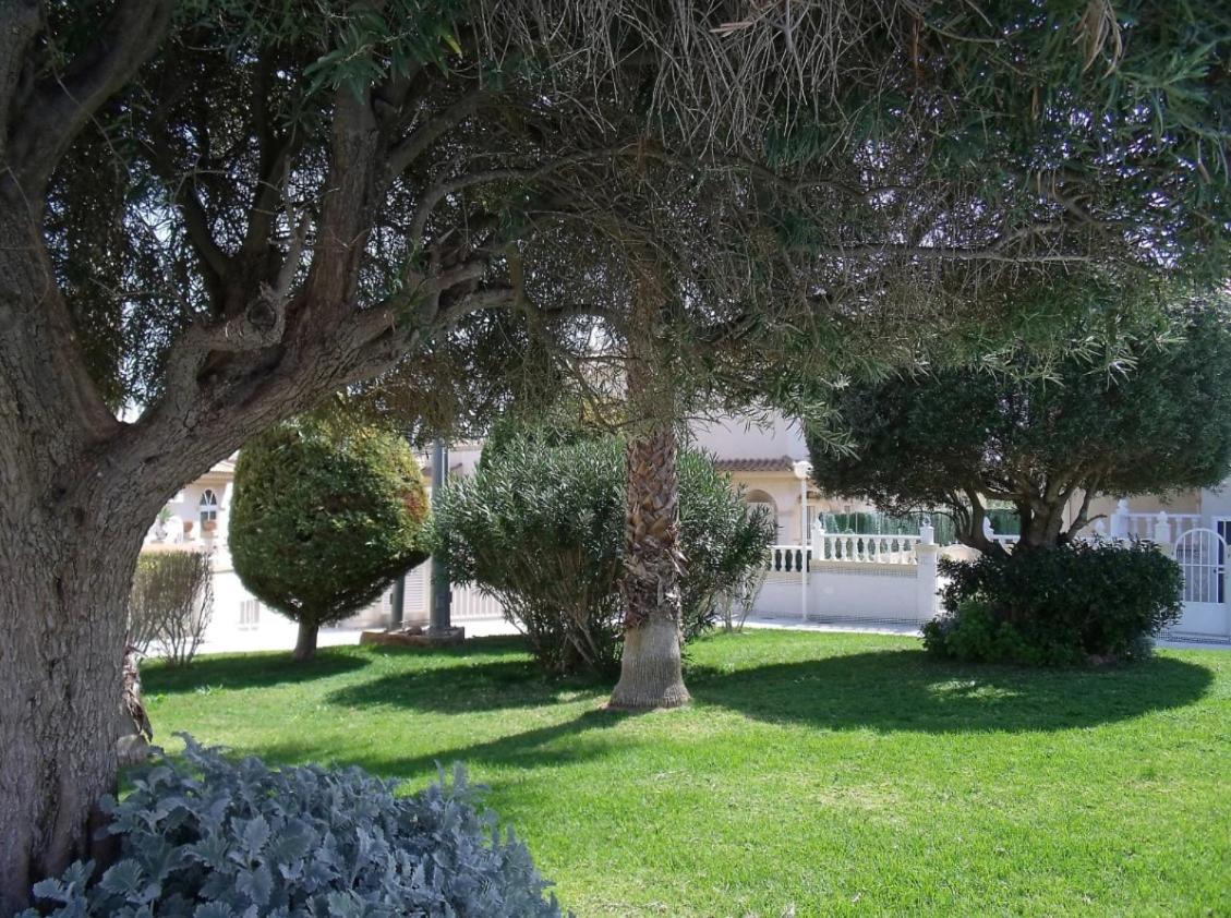 Maravillosa Terraza Con Vistas Al Mar, La Mata Torrevieja Eksteriør billede